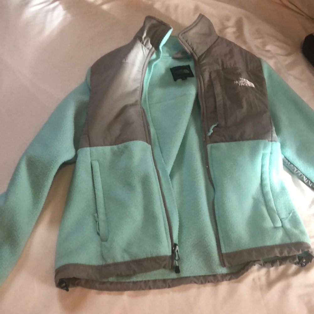 The north face fleece